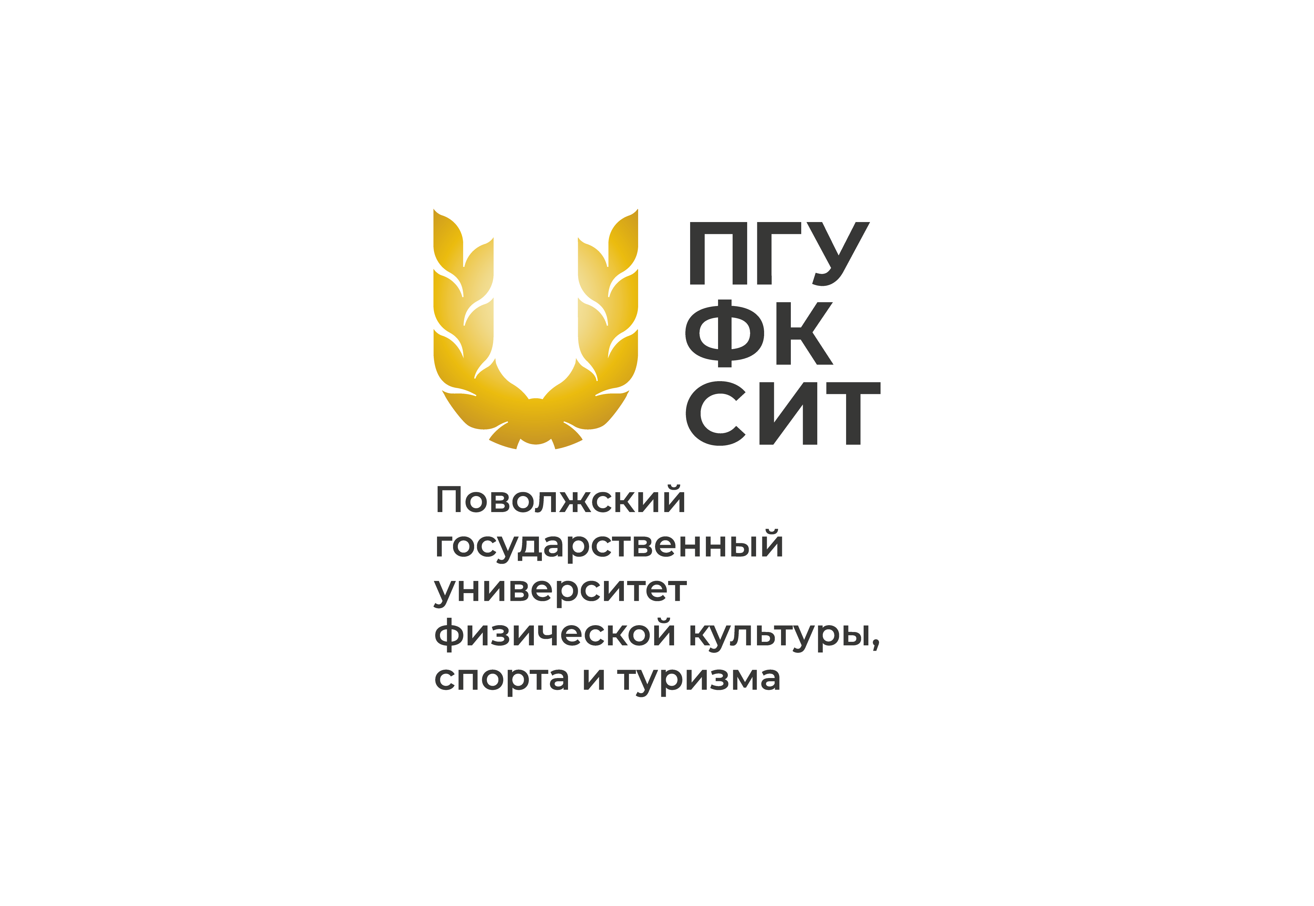 Volga Logo